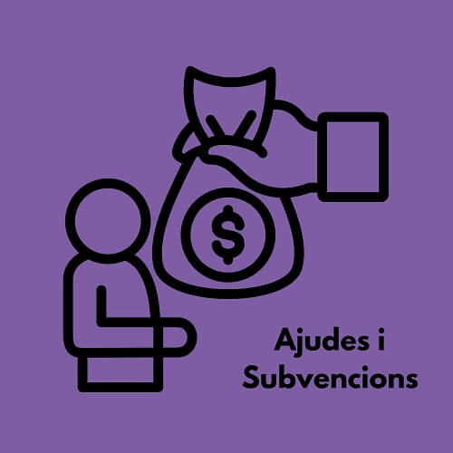 ajudes-i-subvencions